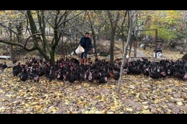 İş bulamayınca kendi işini kurdu! 
