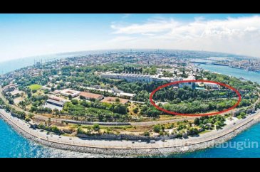 Herkesi korkutmuştu ama çözüm bulundu!