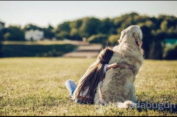 Köpek sahibi olanların şizofreni riski daha düşük!