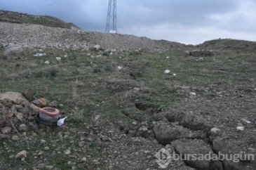 Her geçen gün biraz daha belirginleşiyor