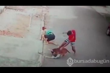 Küçük çocuğu böyle kurtardı