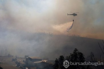 Şili'de orman yangını yerleşim yerlerine sıçradı