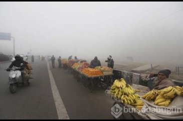Hindistan'da aşırı hava kirliliği tehdit yayıyor!