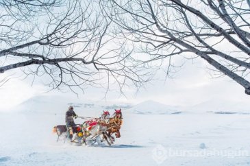 Sömestr tatili rotaları