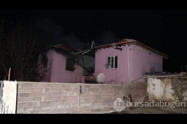 Mangal faciaya neden oldu!