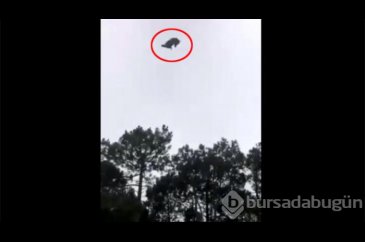 Helikopterden canlı canlı attılar!