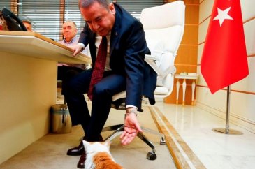 Deprem mağduru Toros'un keyfi yerinde