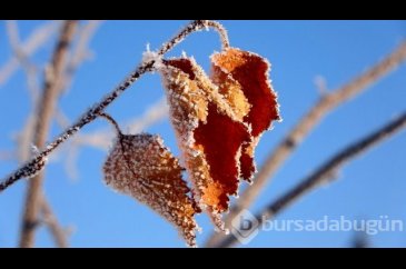 Ardahan'da termometreler eksi 38'i gördü