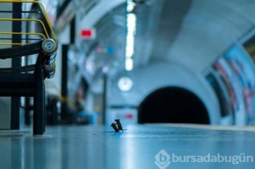 Bir kare için günlerce metro istasyonunda kaldı!