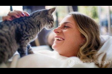 Kedi beslemek vücutta bu etkileri yaratıyor!