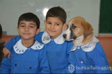 Yavru köpek derslere giriyor! 'Fındık' önlüğüyle okulun maskotu oldu