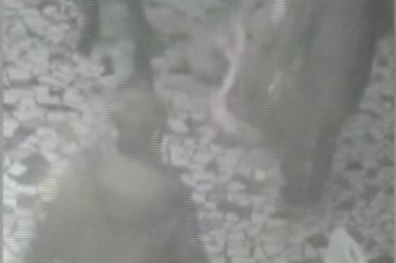 Kadına saldıran kişiye dehşet dayak