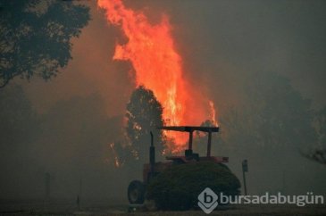Avustralya'daki yangınlar 240 gün sonra söndü