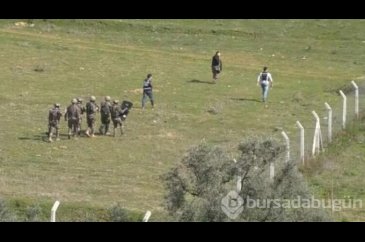Operasyonda 46 kök skunk ve 1 pompalı tüfek ele geçirildi!