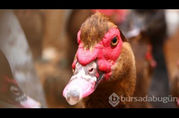 Hobi olarak başladı, siparişlere yetişemiyor!