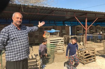 Arapların gözdesi araba fiyatına satılıyor