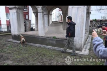 Bursa'da şafak operasyonu! Uyuşturucuyu türbenin içine zulalamış
