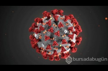 Corona virüsü Türkiye vaka sayısı