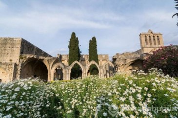 Gotik mimarinin en güzeli: Bellapais Manastırı
