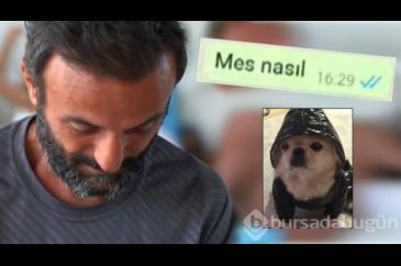Ersin Korkut köpeğini sordu! 