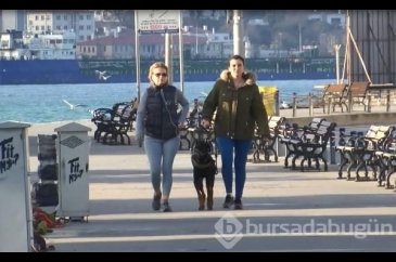 Beşiktaş sahilde koronavirüse aldırış etmeyenler görüldü