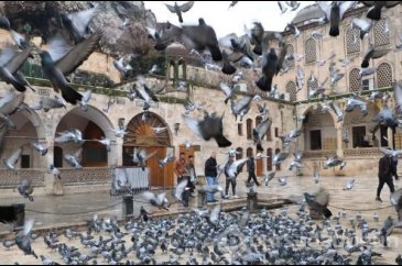 Urfa'da türbeler ziyarete kapatıldı