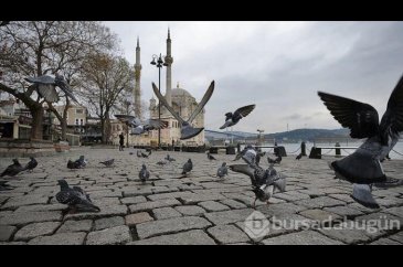 20 yaş altı ve 65 yaş üstü için sokağa çıkma yasağı devam ediyor mu?