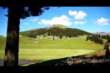 İşte Karadeniz'İn doğal güzellikleri 