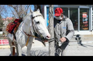 Toplu taşıma yerine at kullanıyor!