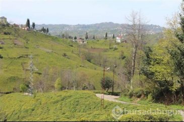 Rize'nin Kalkandere ilçesi karantinaya alındı