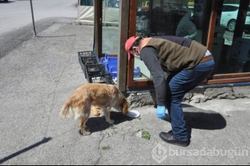 Can dostu, 5 gündür hastane önünde sahibini bekliyor
