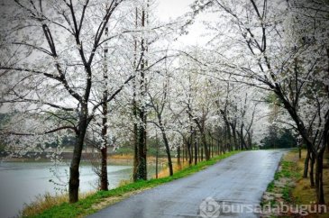 İşte toprak kokusunun bilimsel açıklaması
