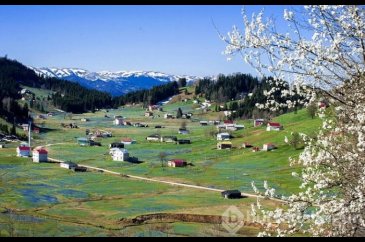 Koronavirüs nedeniyle 'Mor Yayla'ya ziyaretçi yasağı
