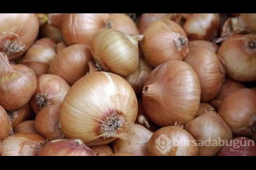 Soğan kabuklarını nasıl kullanabiliriz?