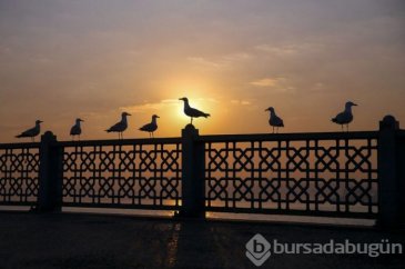 Marketler bugün ve yarın 09.00-14.00 saatleri arasında açık! İşte s...