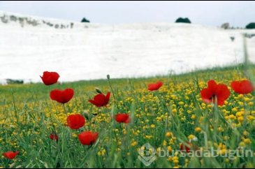 Pamukkale rengarenk
