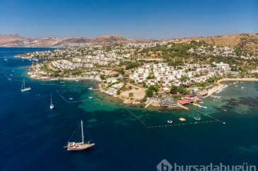 Bodrum'da ilk kez görüldü