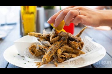 Bağışıklığı güçlendiren vitaminler 