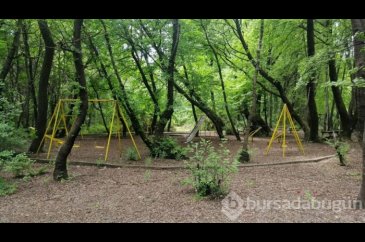 Muğla'da cennet köşesi; Sığla Ormanları