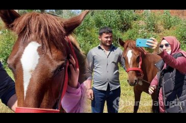 At üstünde kuş motifi...