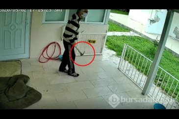 Kediye keser attı! 