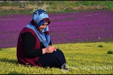Ballıbaba görsel bir şölen sundu