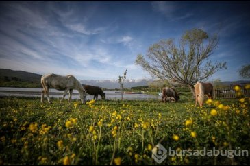 Bursa'da salgın sürecinde tatil yapmak isteyenlerin 'bungalov' ilgisi	