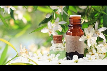Bergamot yağı cildinize şifa olabilir
