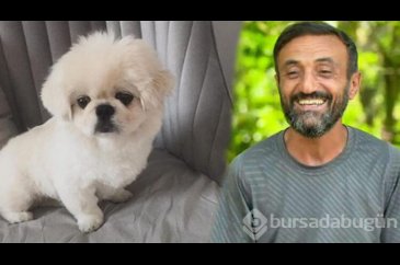Ersin Korkut yeni köpeğine isim arıyor