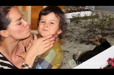 Ebru Şallı o köpeğin bakımını üstlendi