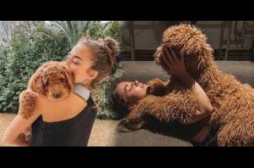 Bensu Soral'ın köpek sevgisi