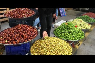 Alıç mevsimi geldi