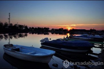 İstanbul'un kuş yuvası Küçükçekmece