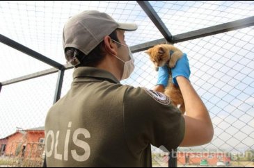 Hayvanları koruma polisleri göreve başladı
